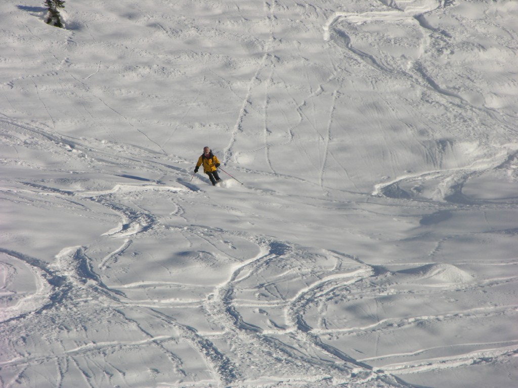 dscn3145.jpg