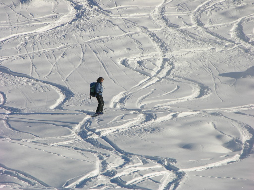 dscn3147.jpg