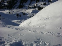 dscn3117.jpg