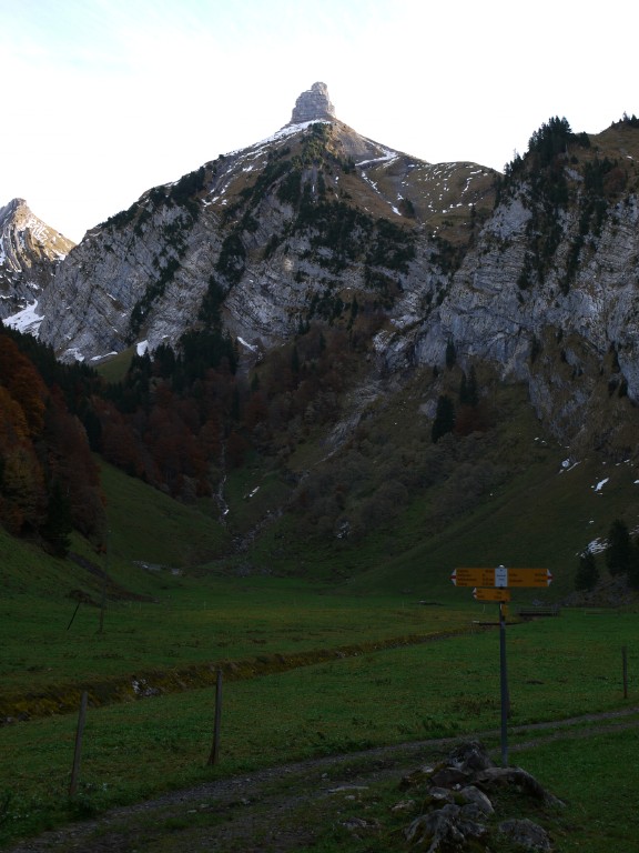 p1000085.jpg