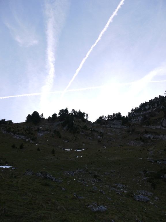 p1000088.jpg