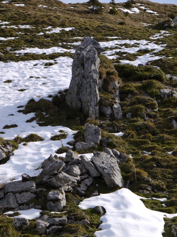 p1000093.jpg