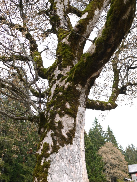 p1000147.jpg