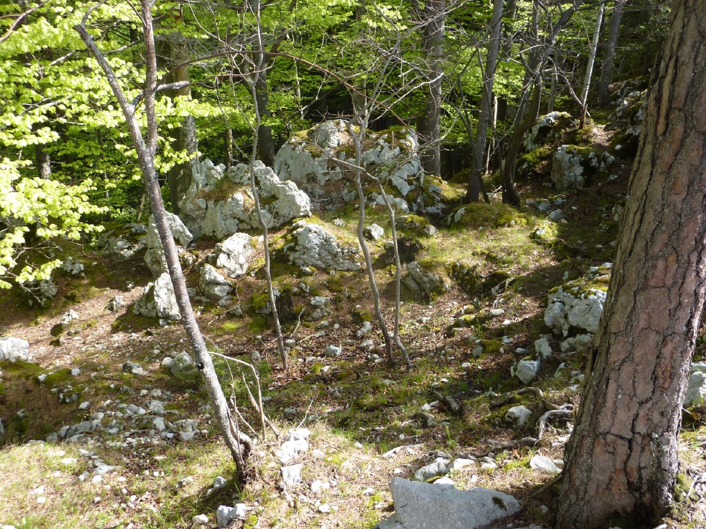 p1010144.jpg