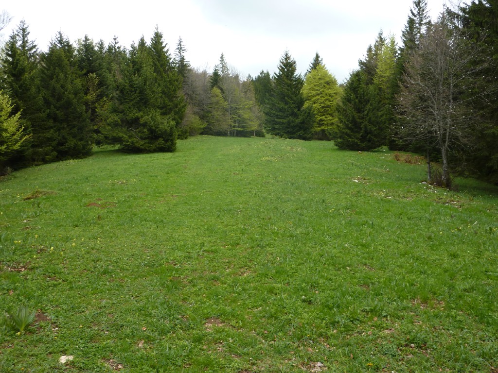 p1010151.jpg
