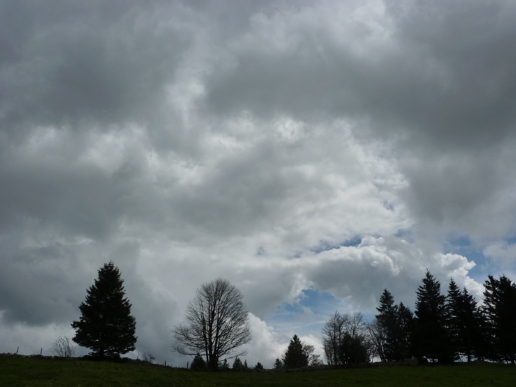 p1010152.jpg