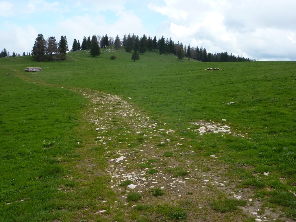 p1010153.jpg