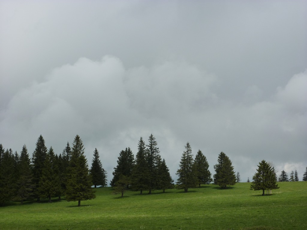 p1010157.jpg