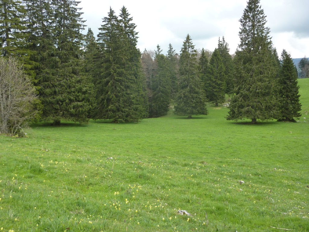 p1010160.jpg