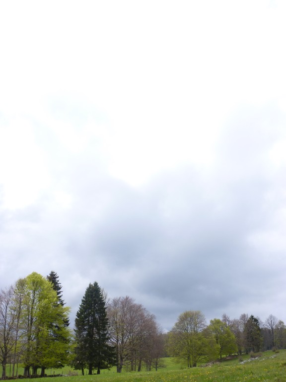 p1010161.jpg