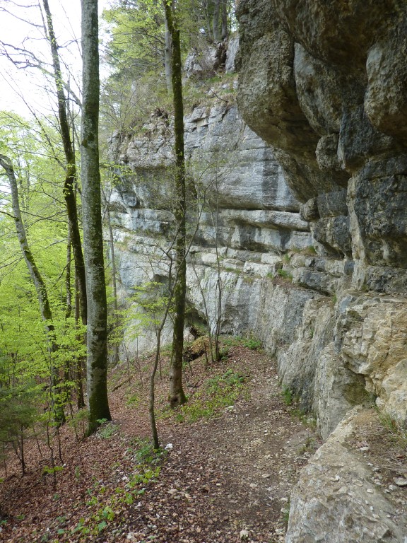 p1010163.jpg
