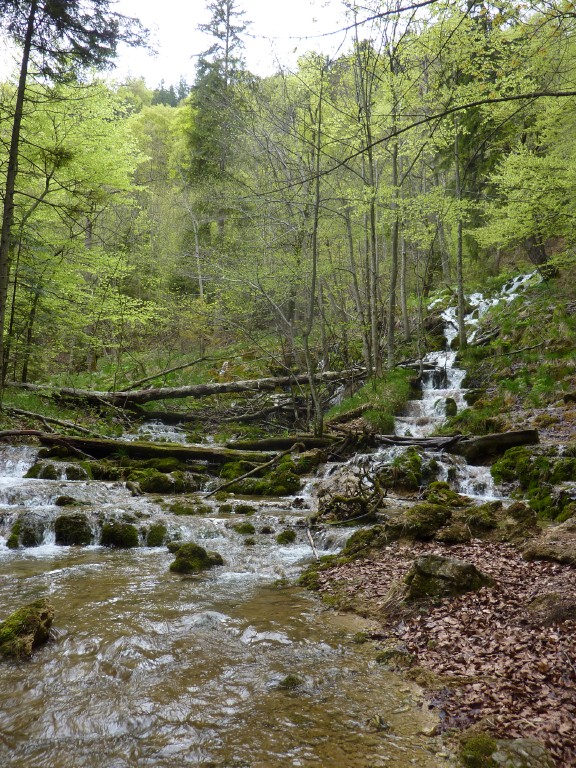 p1010164.jpg