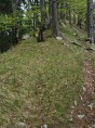 p1010150.jpg