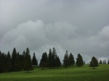 p1010157.jpg