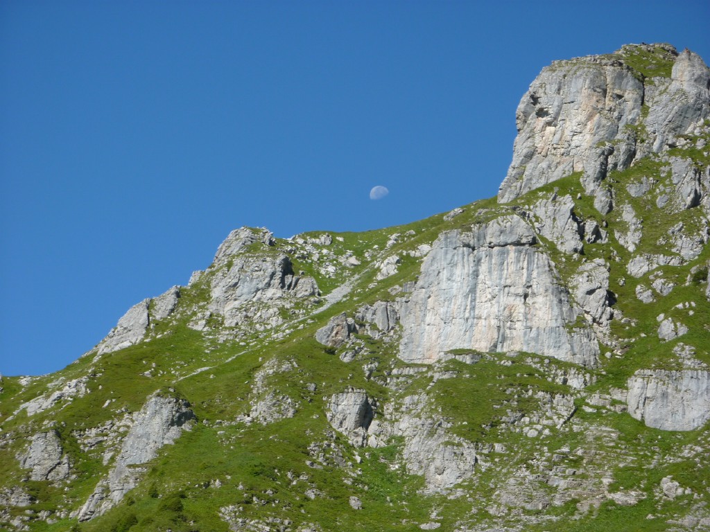 p1010691.jpg