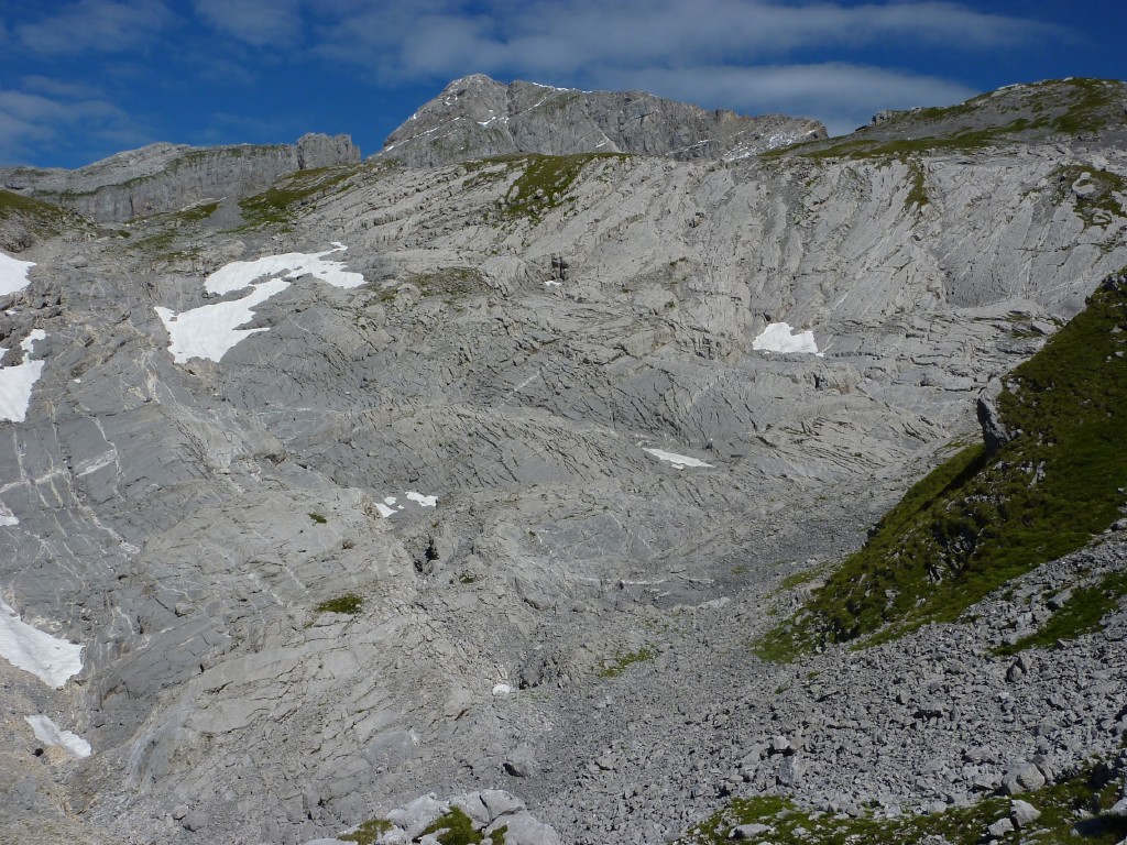 p1010693.jpg