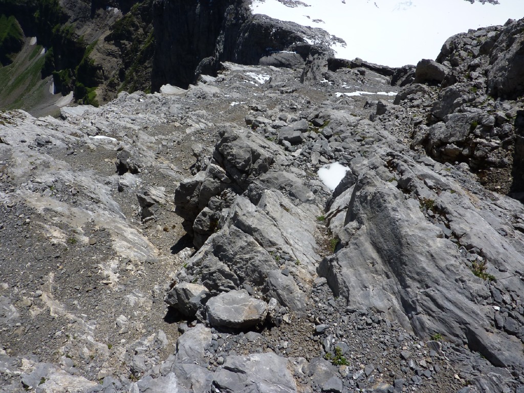 p1010720.jpg
