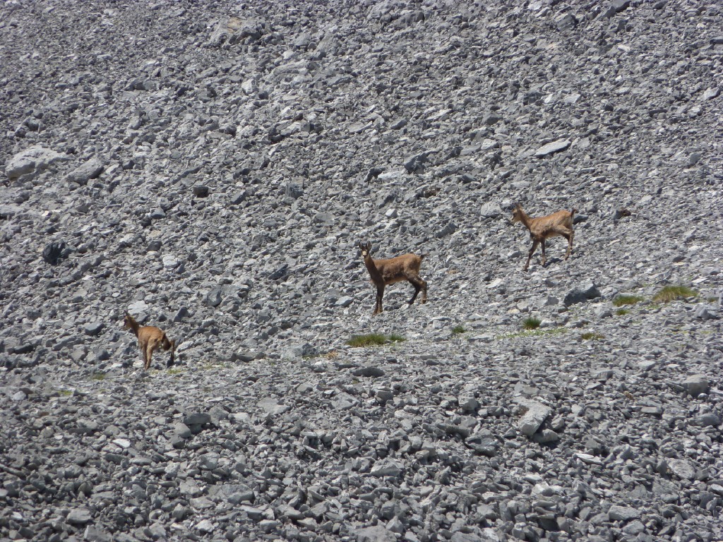 p1010729.jpg