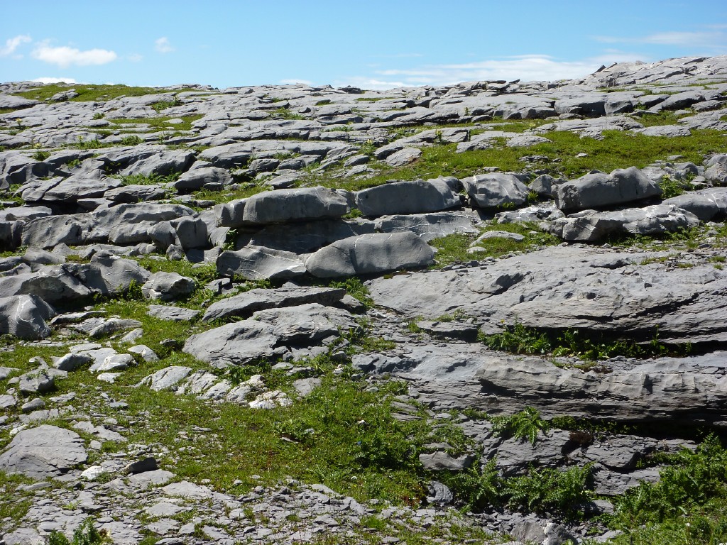 p1010733.jpg