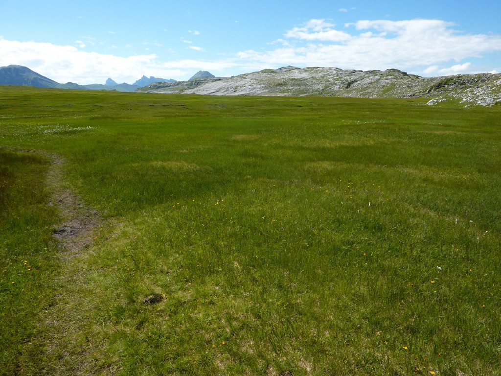 p1010734.jpg