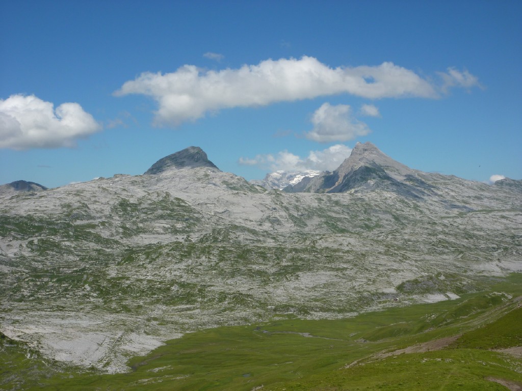 p1010737.jpg