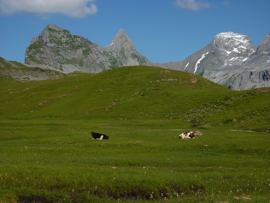 p1010739.jpg