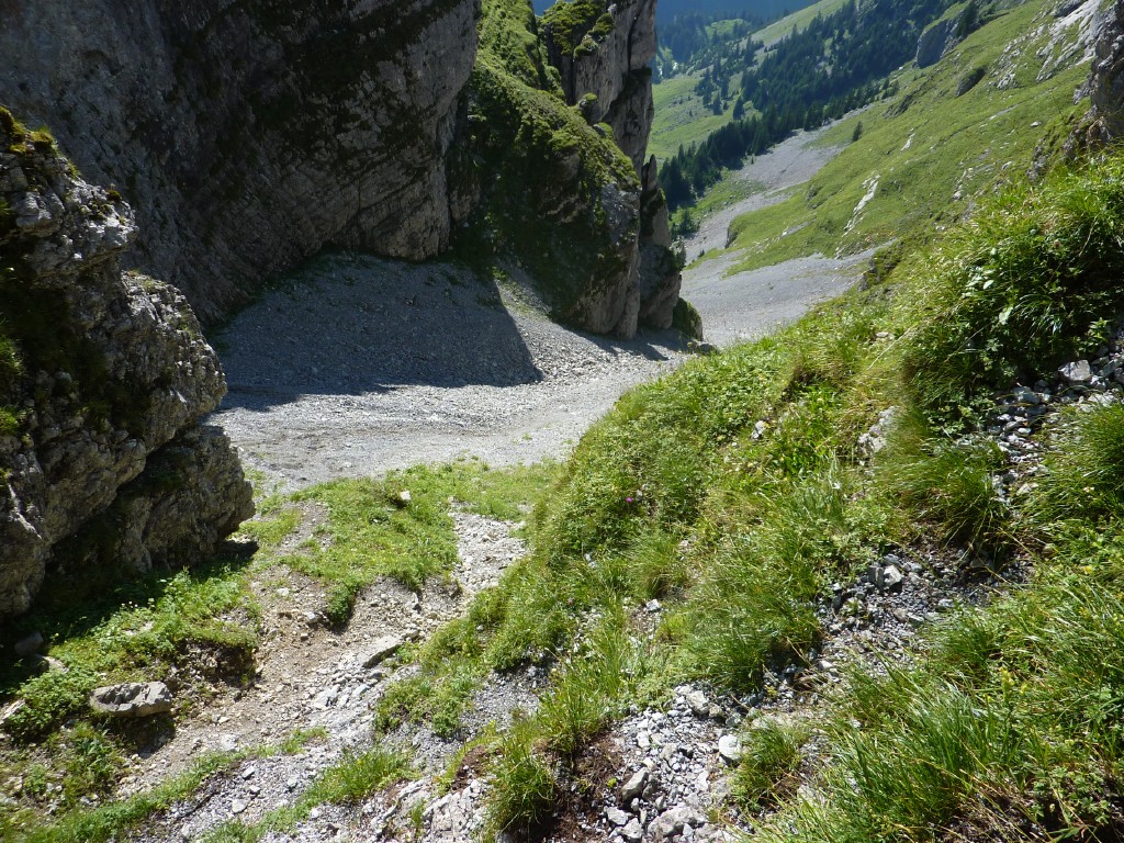 p1010742.jpg