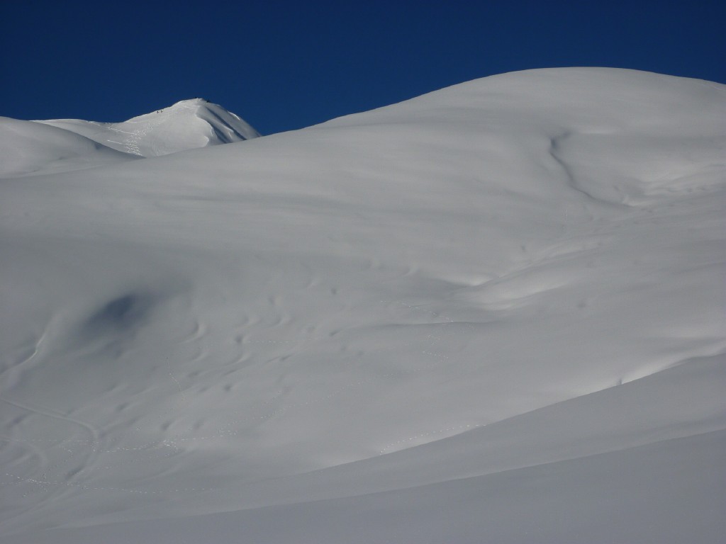 p1000365.jpg