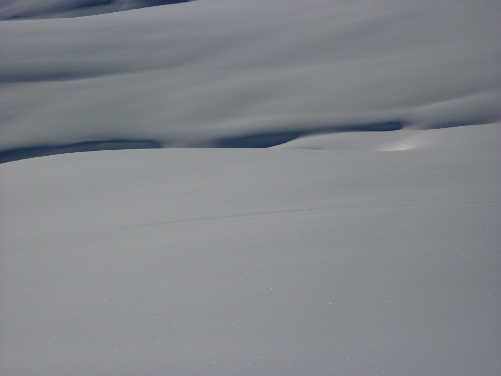 p1000366.jpg