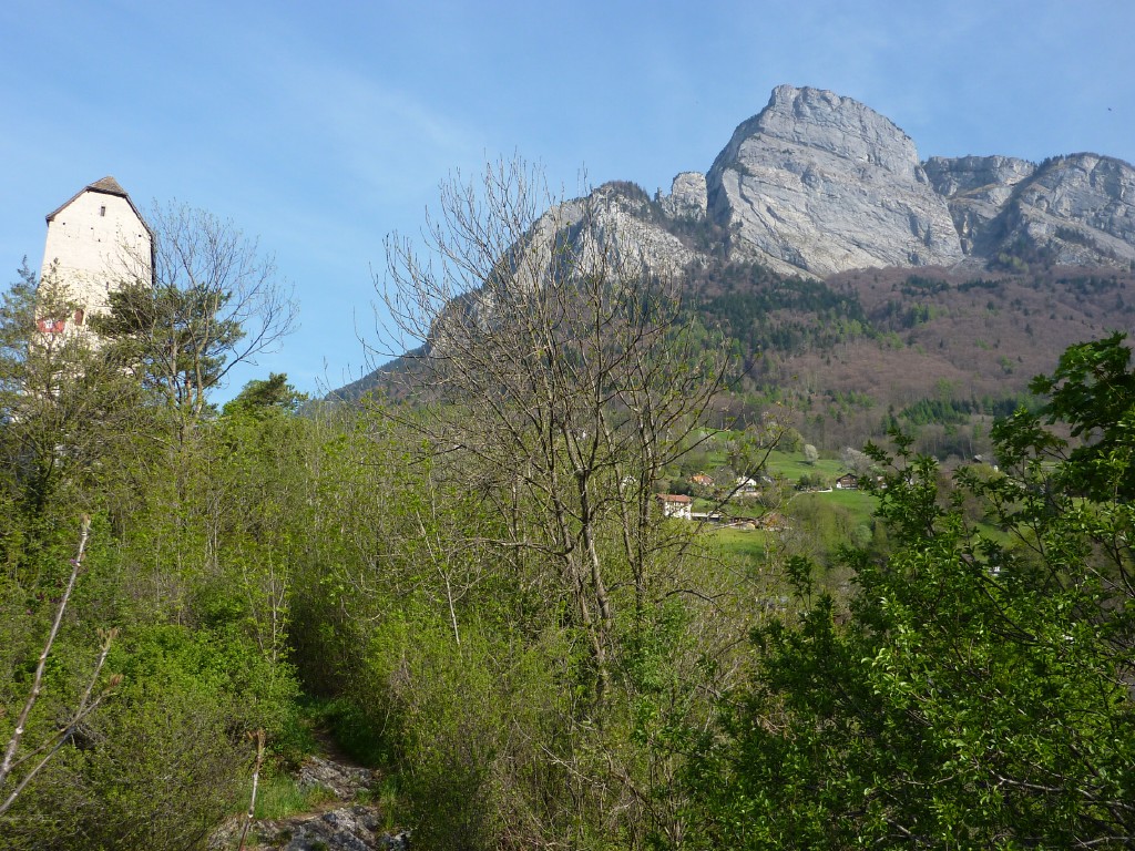 p1000929.jpg