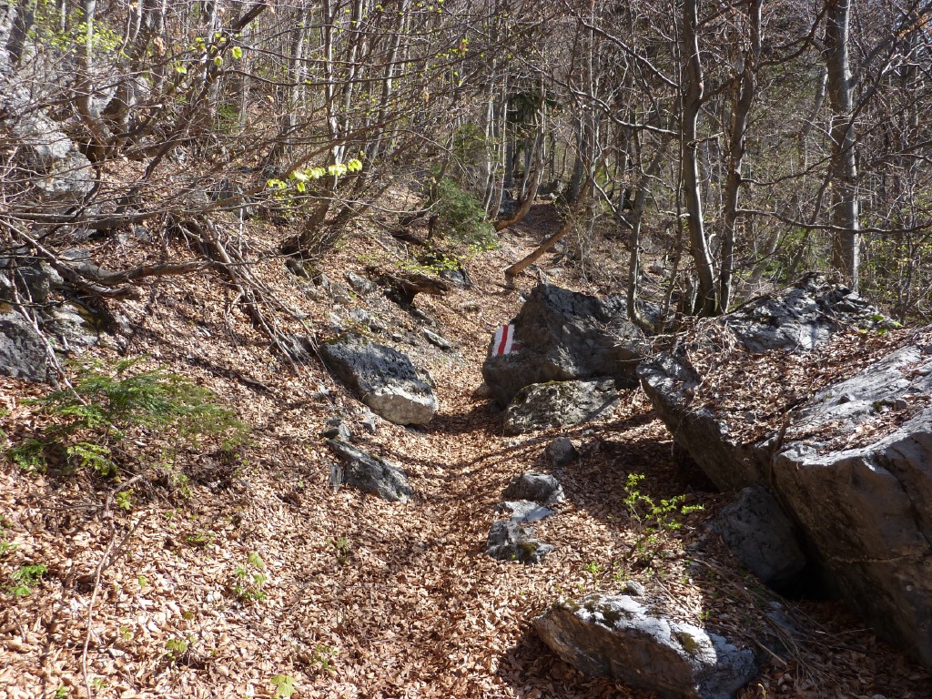 p1000930.jpg