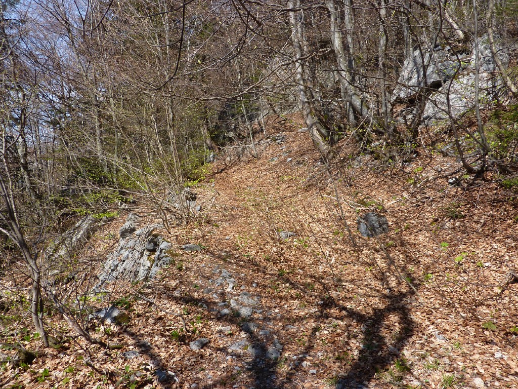 p1000931.jpg