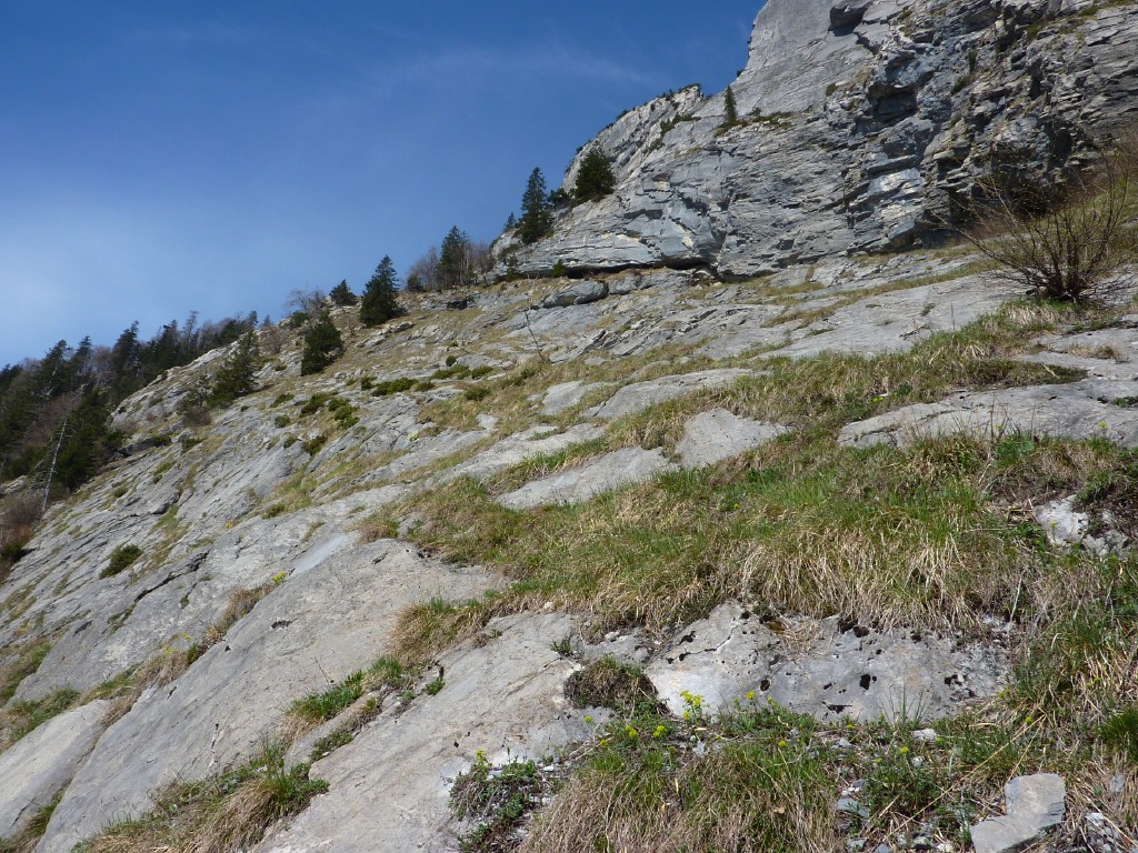 p1000936.jpg