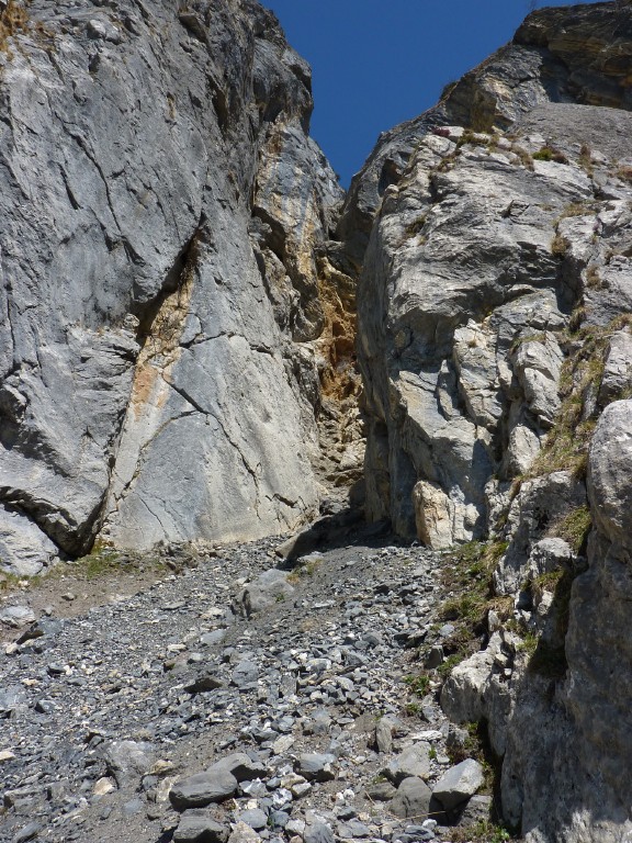 p1000938.jpg