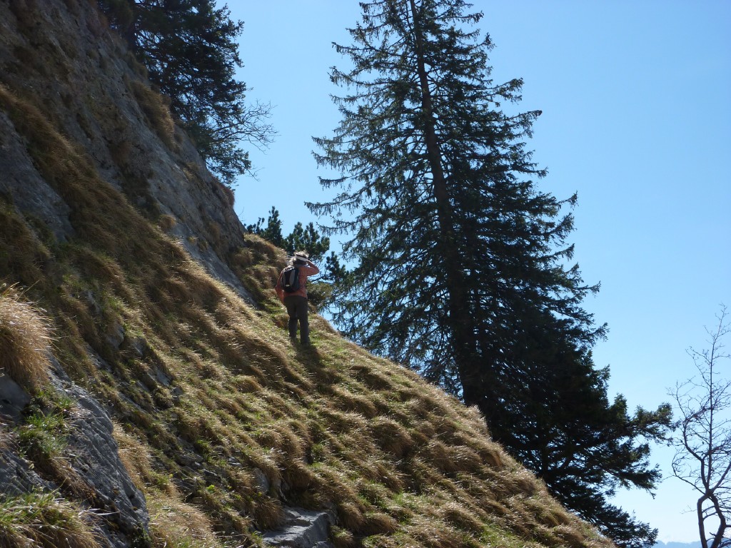 p1000942.jpg