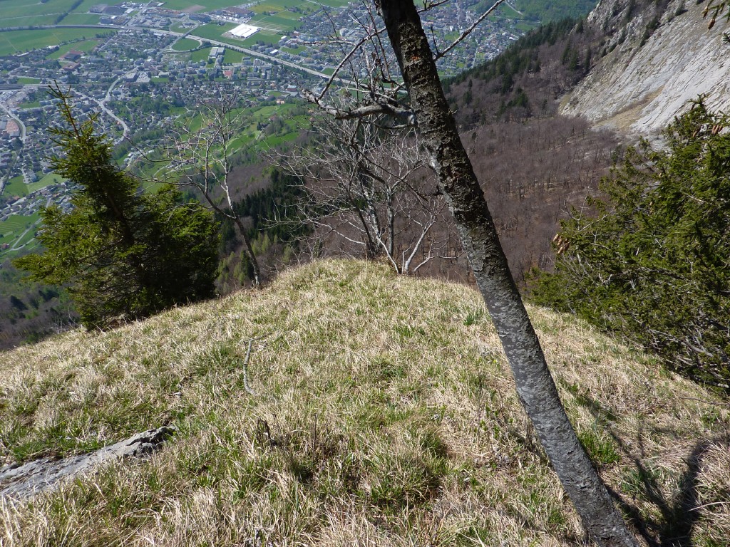 p1000946.jpg