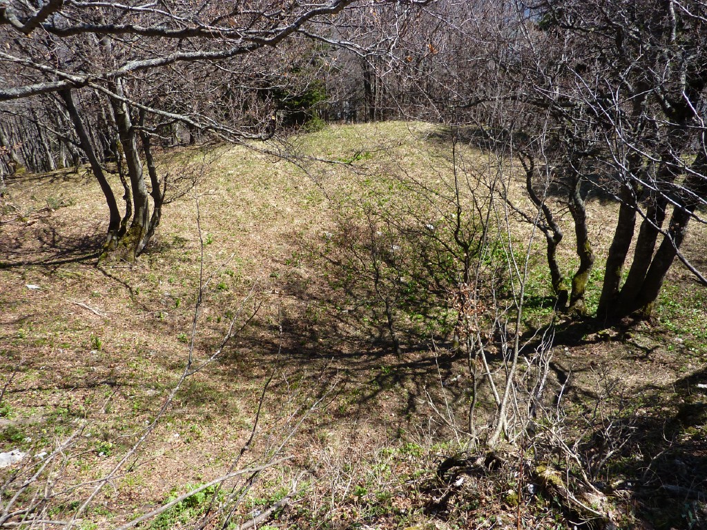 p1000947.jpg