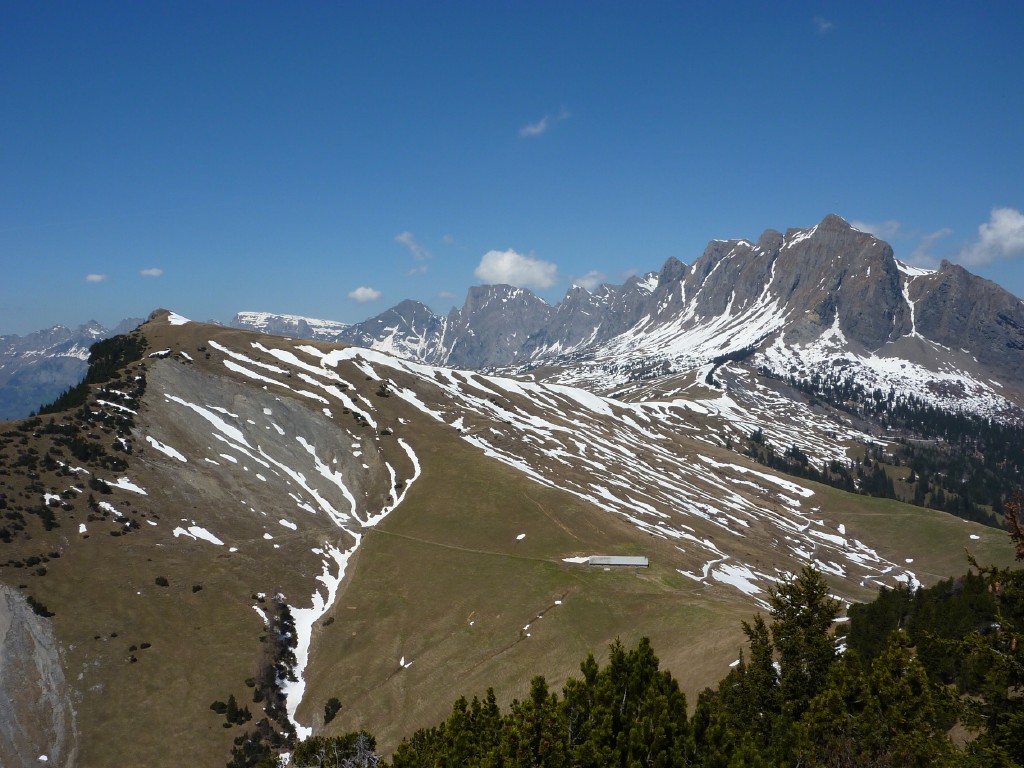 p1000954.jpg