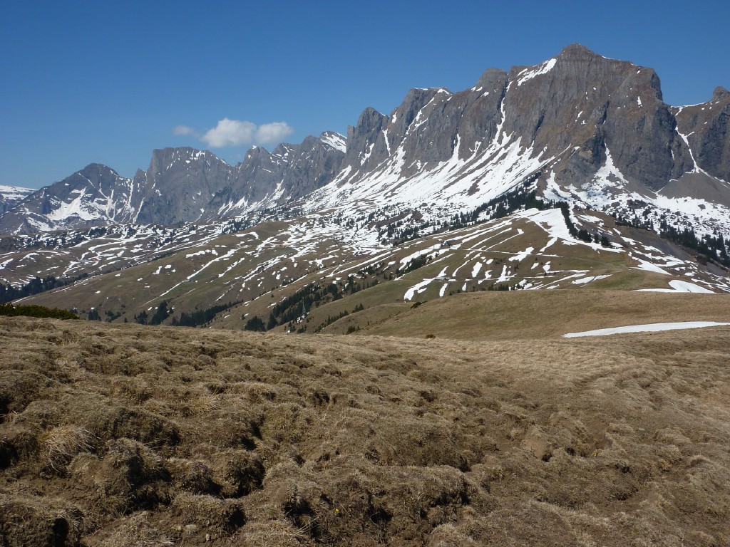 p1000956.jpg