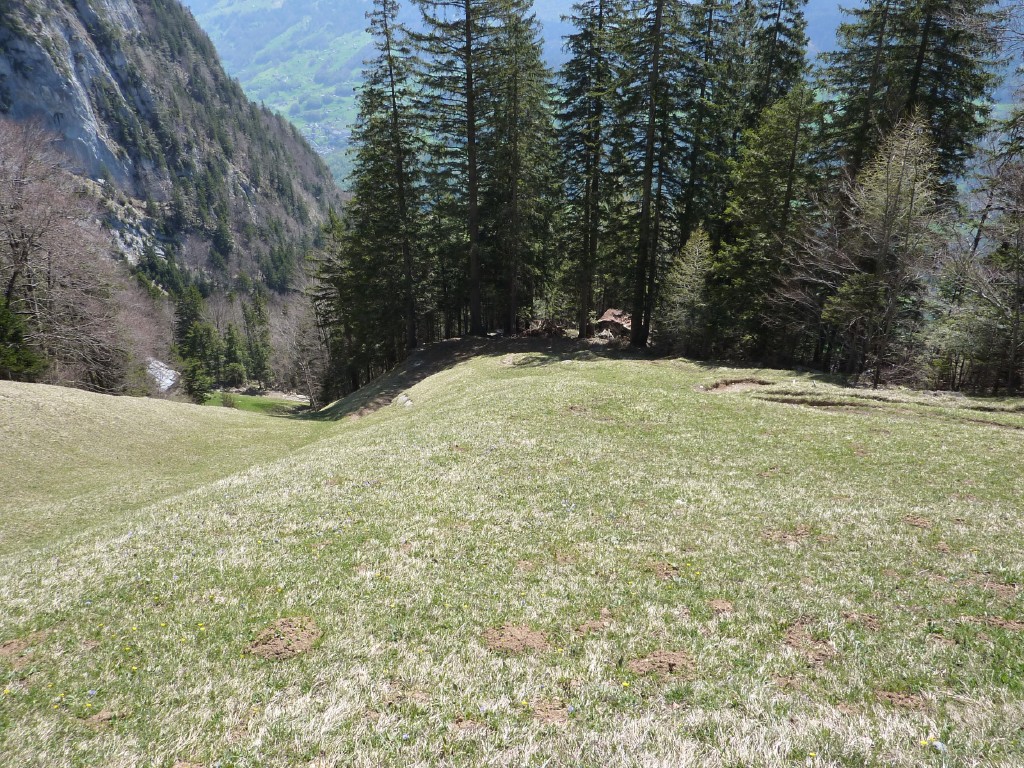 p1000960.jpg