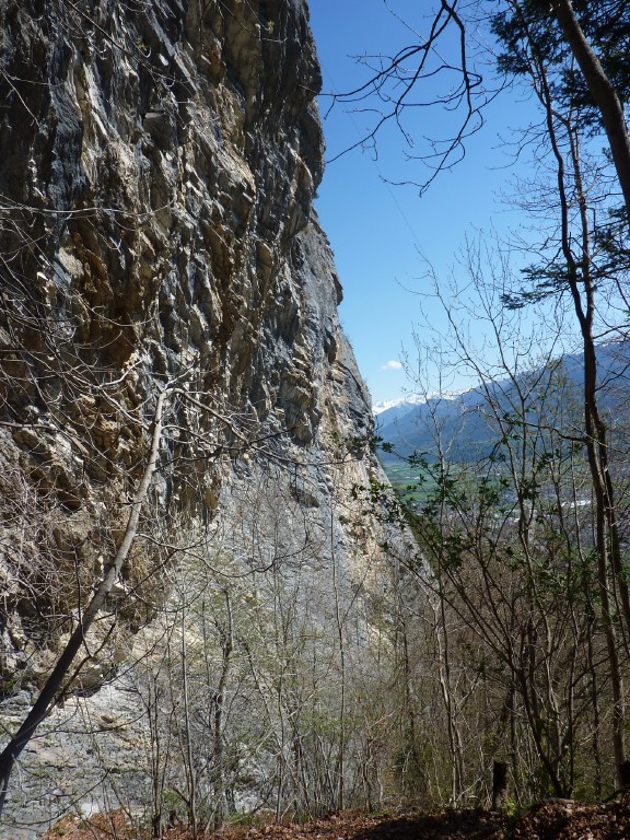 p1000961.jpg