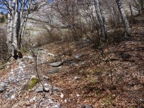 p1000935.jpg