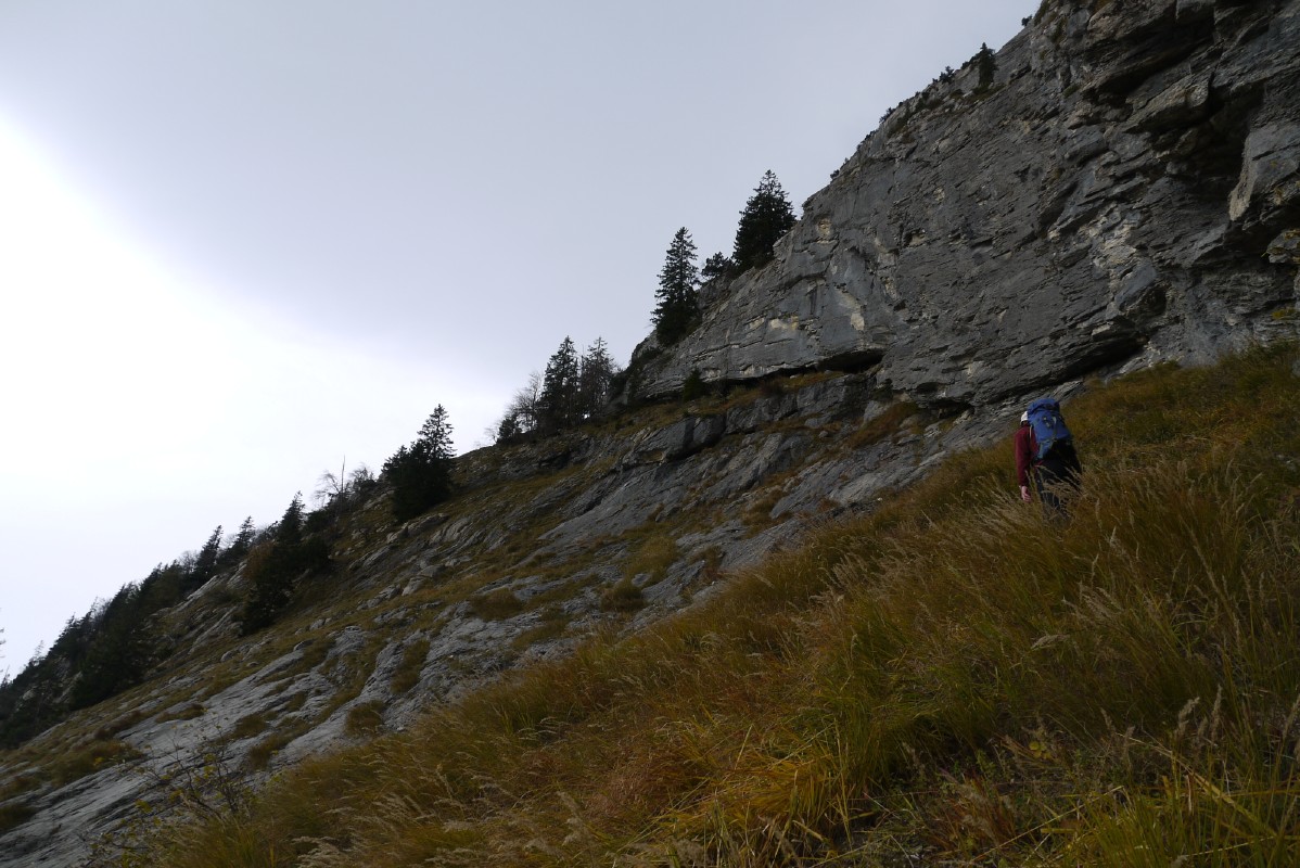 p1010447.jpg