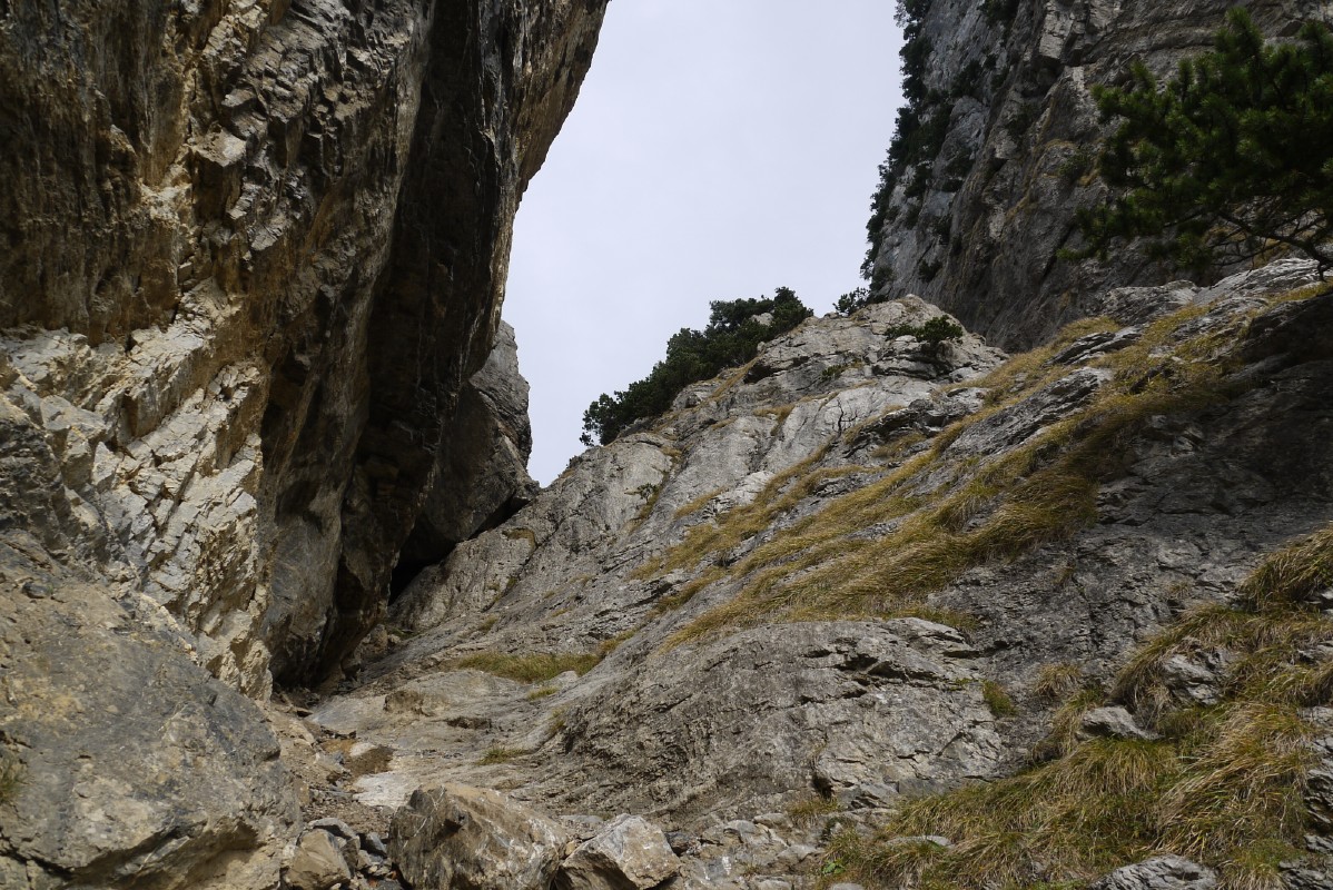 p1010452.jpg