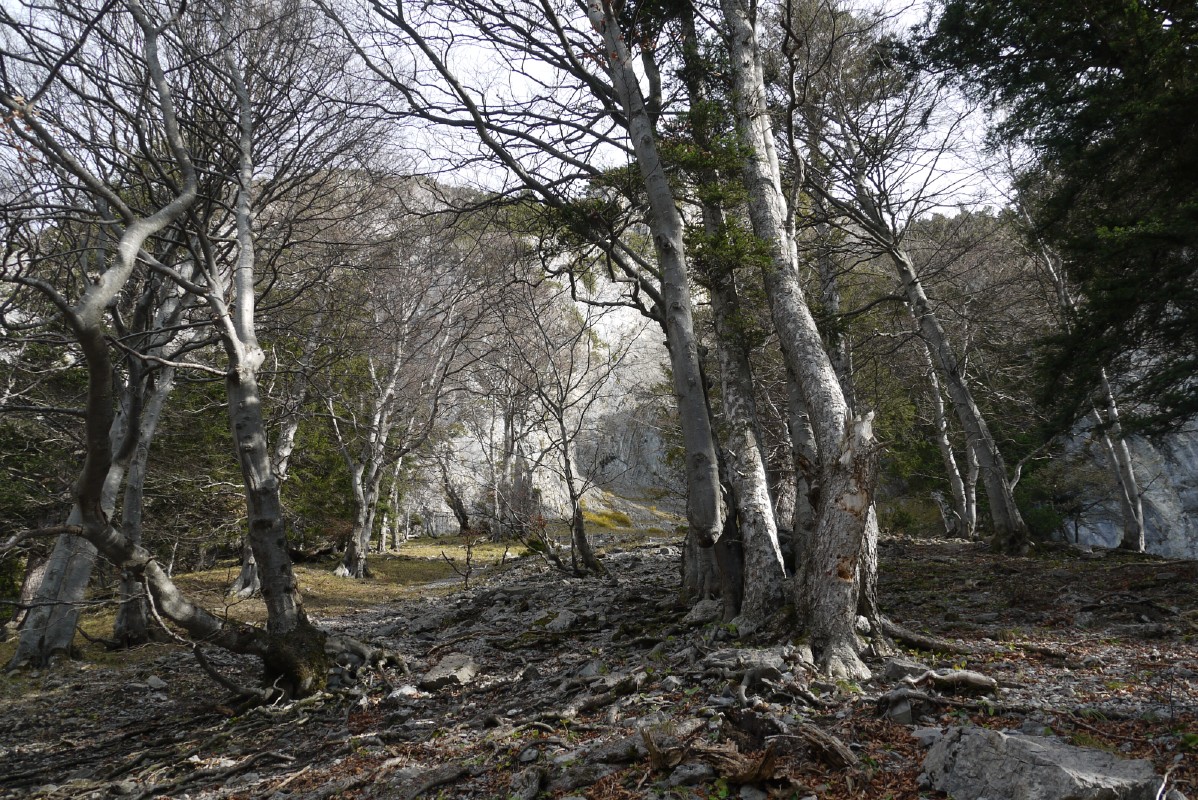 p1010457.jpg