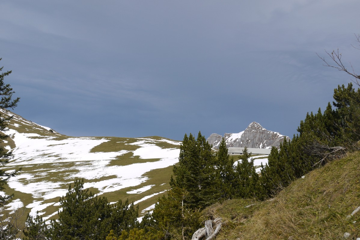 p1010461.jpg