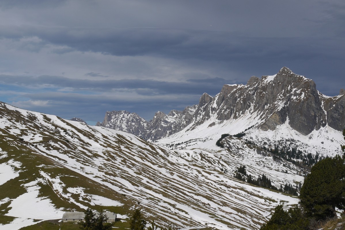 p1010471.jpg