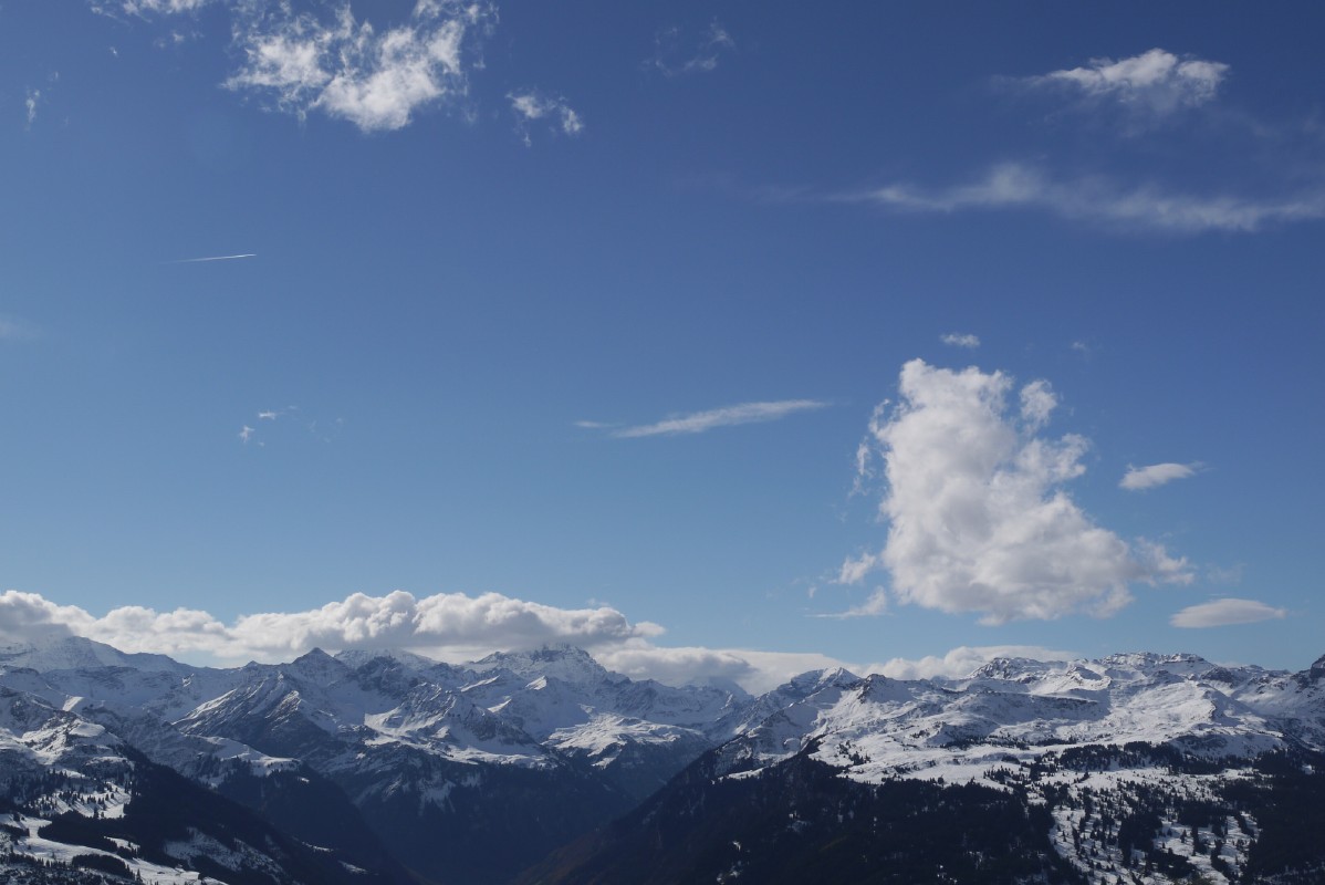 p1010473.jpg