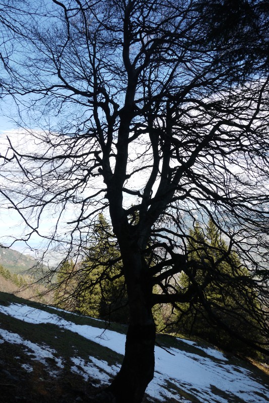 p1010478.jpg