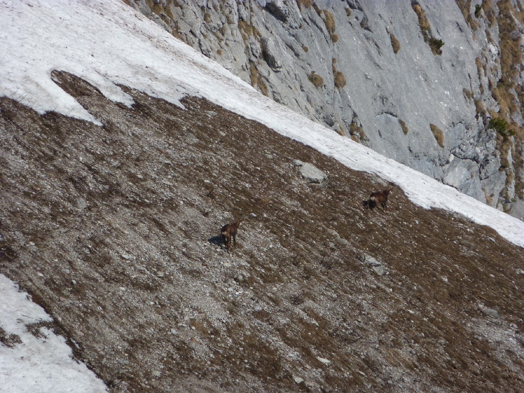 p1000855.jpg